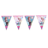 Disney Frozen Disposable Tableware Set