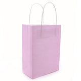 10pcs Multicolor Paper Bags 21x15x8cm