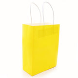 10pcs Multicolor Paper Bags 21x15x8cm
