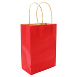 10pcs Multicolor Paper Bags 21x15x8cm